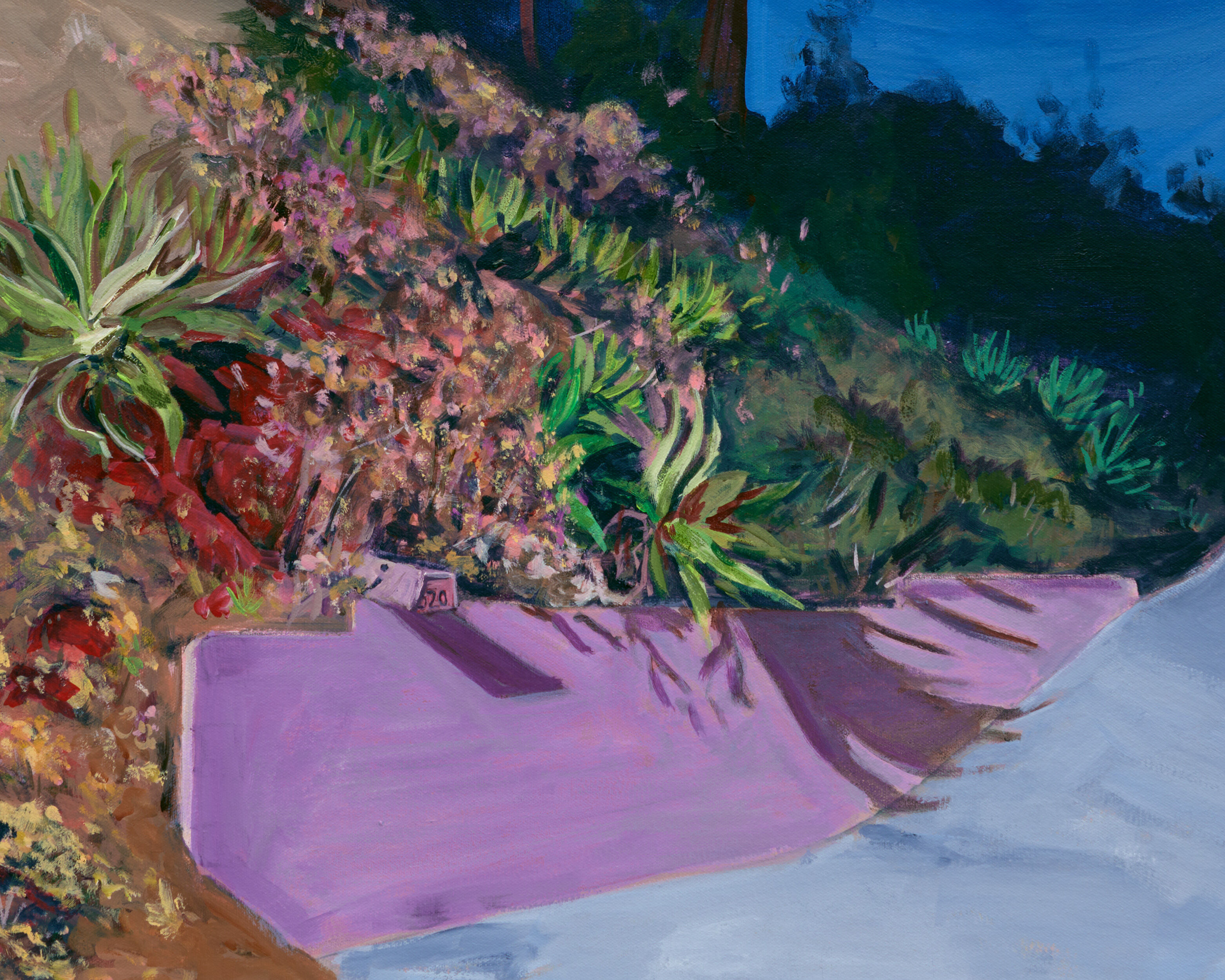 jake sheiner night landscape with pink wall